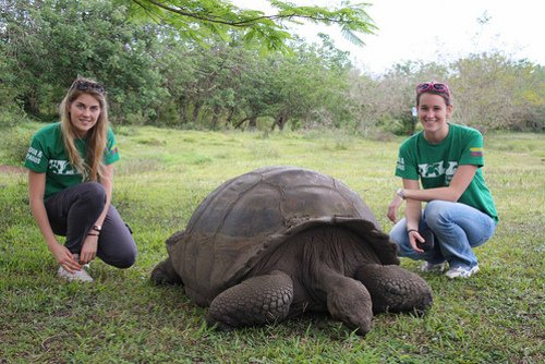 View our guide to #volunteering in South America bit.ly/1DuYaMh