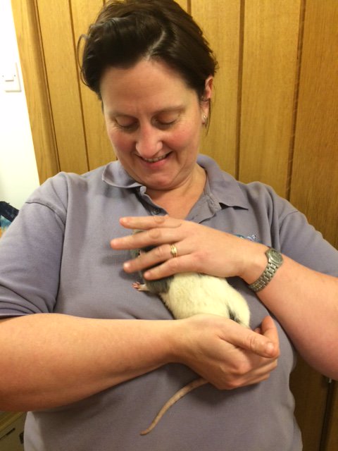 All creatures great and small welcome <a href="/pet_rehab/">Pet Rehab</a>