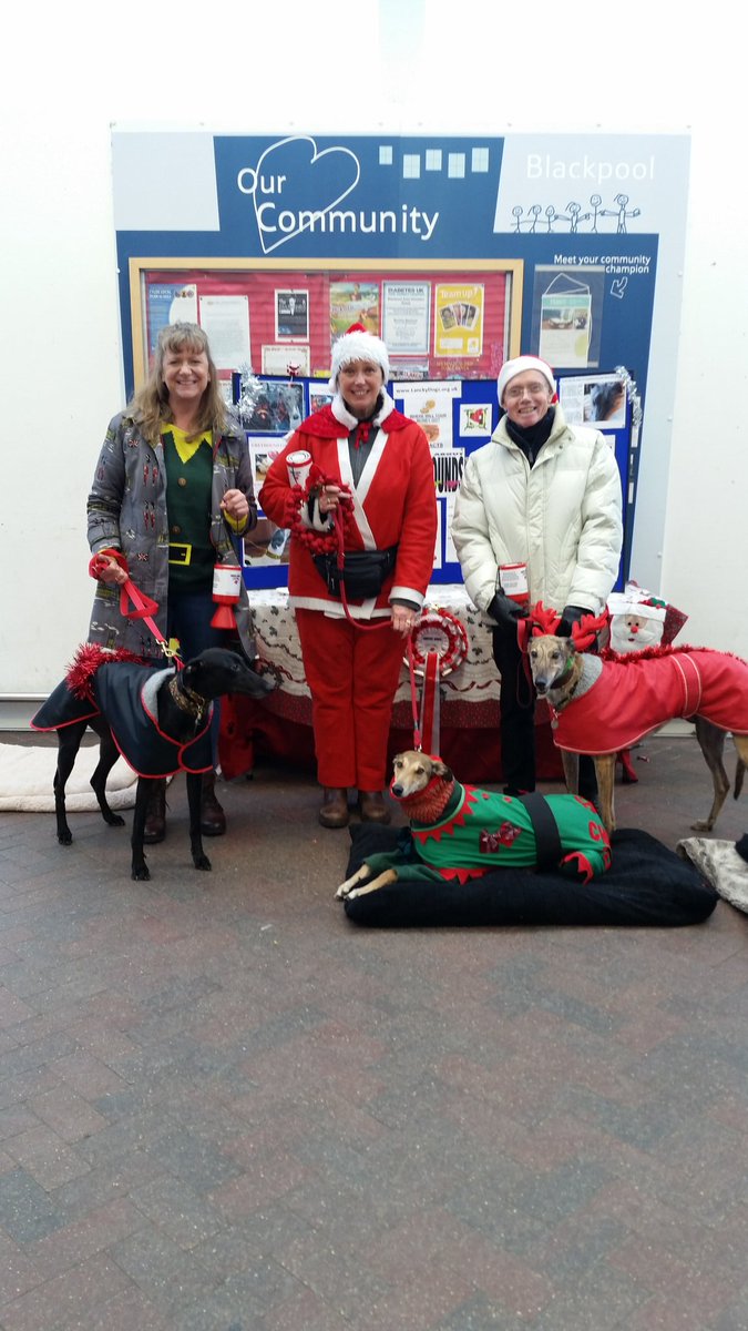 Lynn sumner tweet media