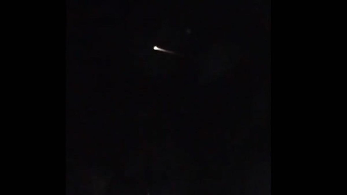 Natasha Zouves tweet media