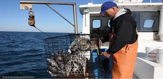 thefishsite's tweet photo. Weekly Overview: Fishing catch limits agreed for 2016 https://t.co/I5Yu1aC9cX #AgChat #FishingLimits #EU https://t.co/IdoCyXN2Tj