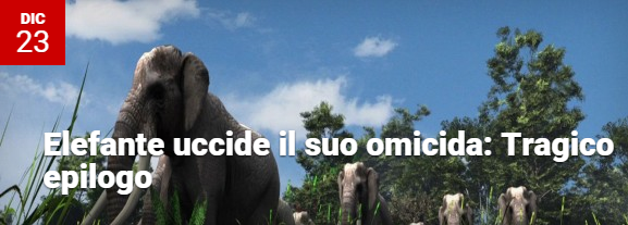 kekoolit's tweet photo. #Elefante Uccide il suo omicida
https://t.co/wpOBQzPKng https://t.co/ktYUphrbaA