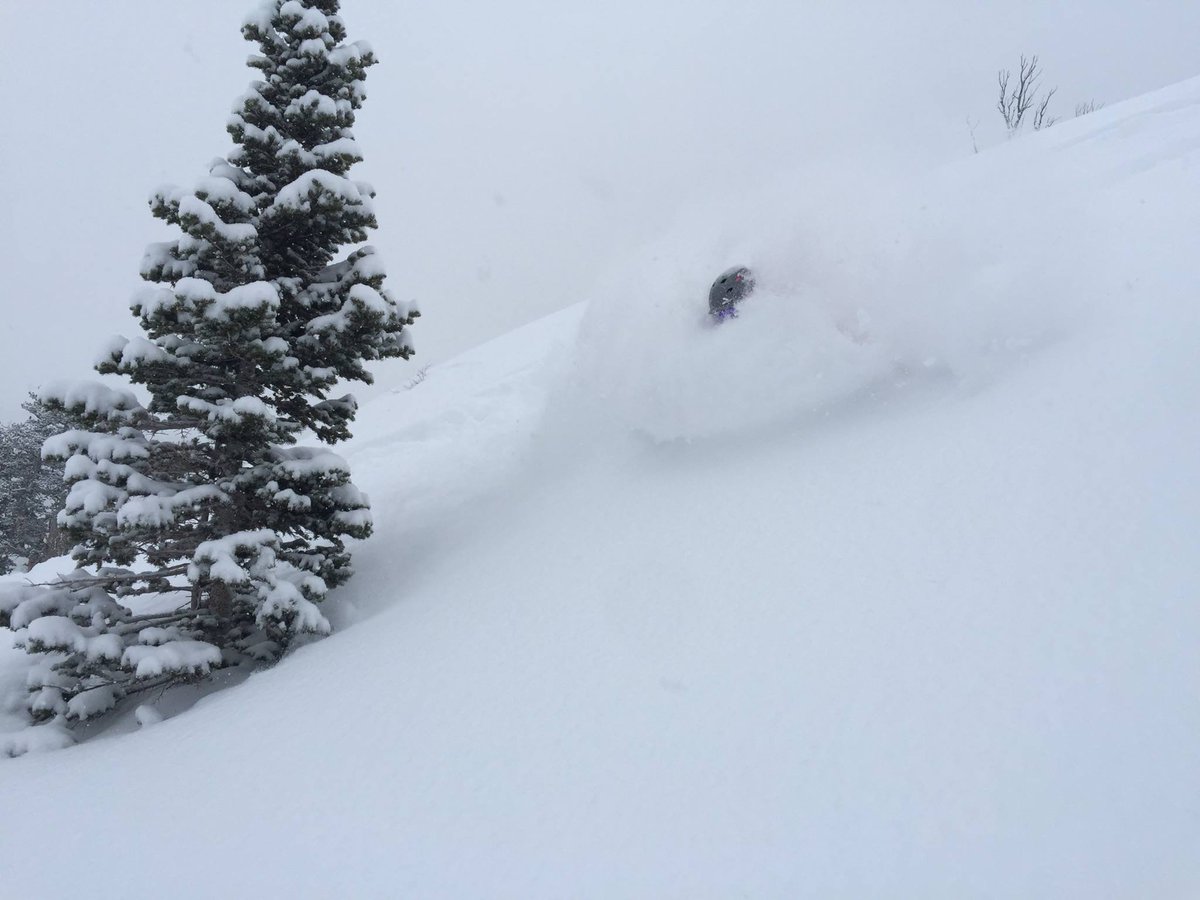 TheSkiClub's tweet photo. *RESORT OF THE DAY #21* - @SkiSolitude in Utah, 53cm in 24 hours and 147cm in the last 3 days! So so deep! https://t.co/xv6jHm6SA6