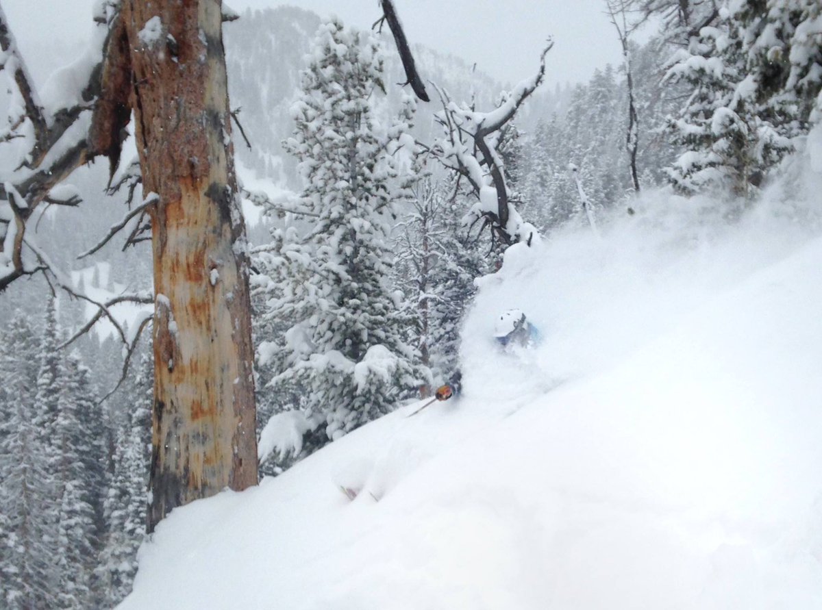 TheSkiClub's tweet photo. *RESORT OF THE DAY #21* - @SkiSolitude in Utah, 53cm in 24 hours and 147cm in the last 3 days! So so deep! https://t.co/xv6jHm6SA6
