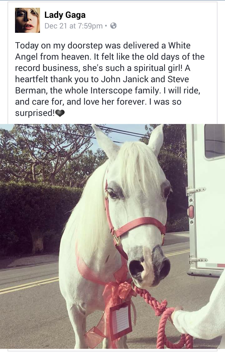 Arabian Horses On Twitter Lady Gaga Was Given A Half Arabian