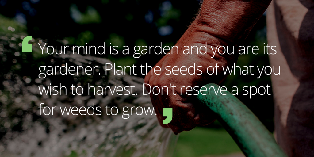 BertAckaert's tweet photo. Program your mind with good thoughts. Kill the weeds of negative programming. https://t.co/4vjor6XHdI