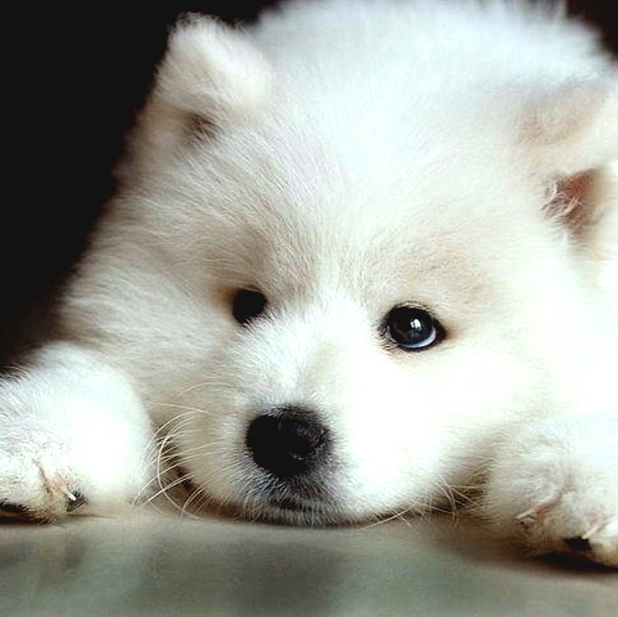 "Ufff, sıkılınca çok yiyorum. Goody olsa da yesem"