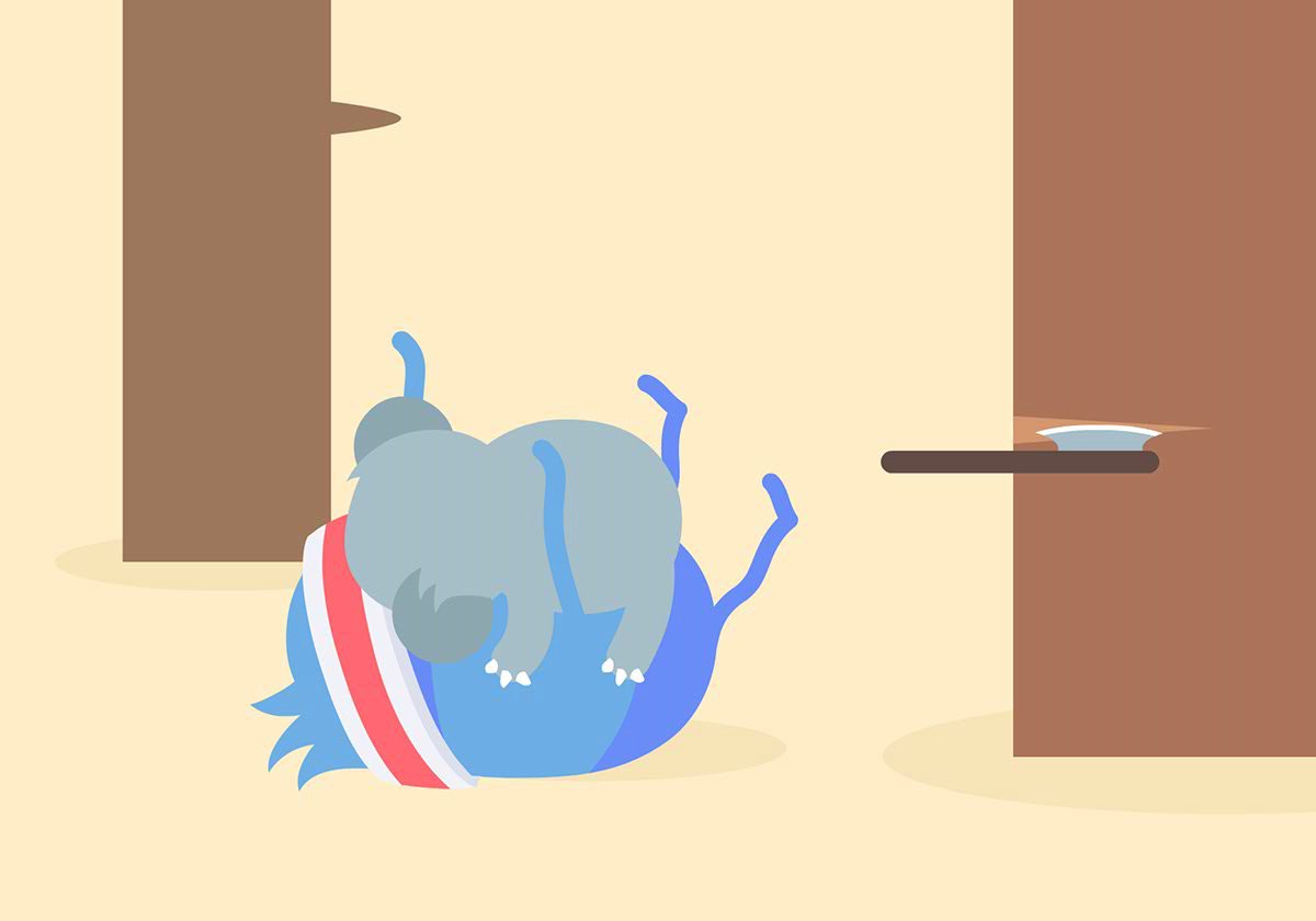 Just copped a friendly face hug from a drop bear #dumbways2 dumbwaystodie.co