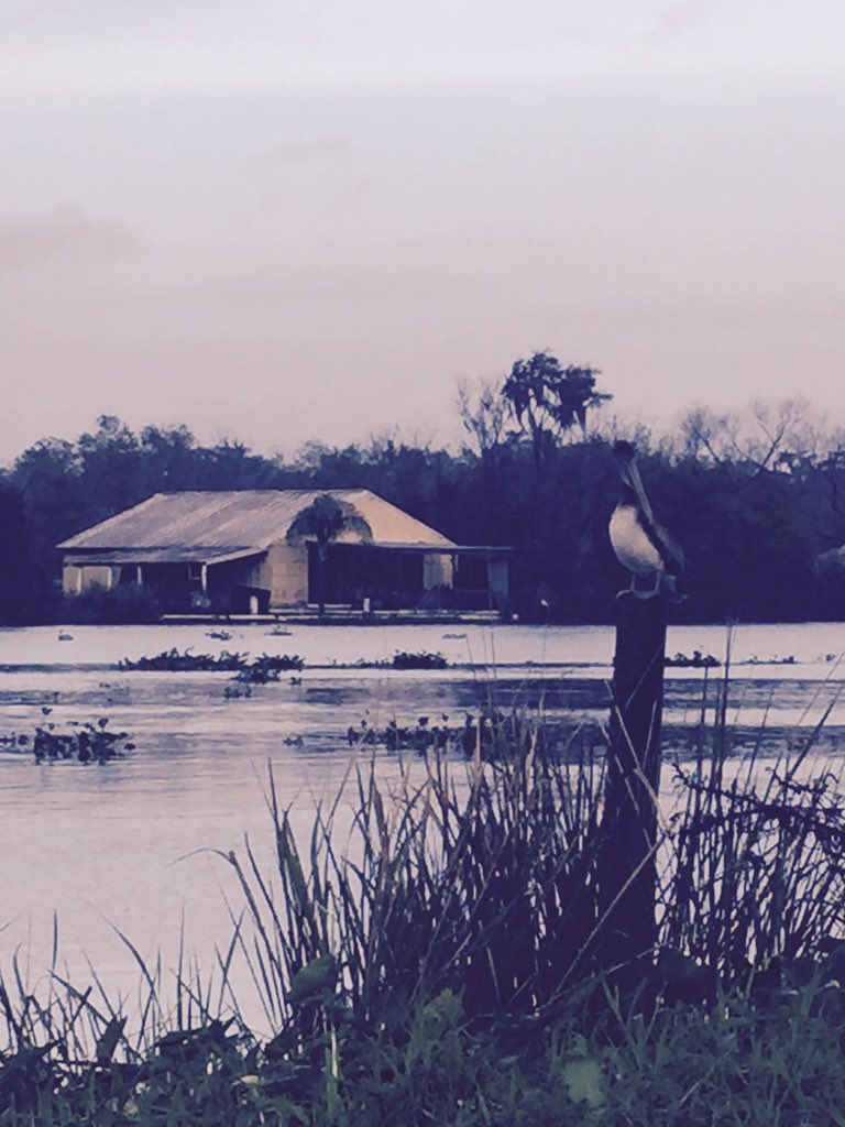 Up the Bayou Road in Des Allemands, #Louisiana