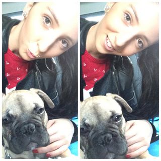 Frenchie_Cute's tweet image. ❤️theoďůra❤️ #frenchbulldog #WoCoDe? #love #dog #cuple #Theo #christmasWithDog findelight.net/frenbull_detai…