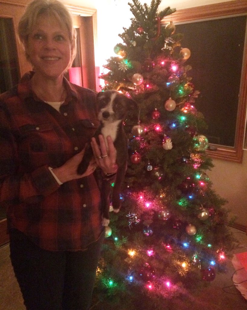 Jackiewarner10's tweet photo. Mom &amp; Mojo 🎄 https://t.co/bp0z5duBJn