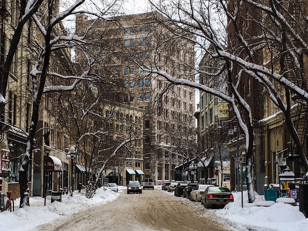 brent_bellamy's tweet photo. Winnipeg is like a three-dimensional Christmas card today. https://t.co/B9uqUhyYtU