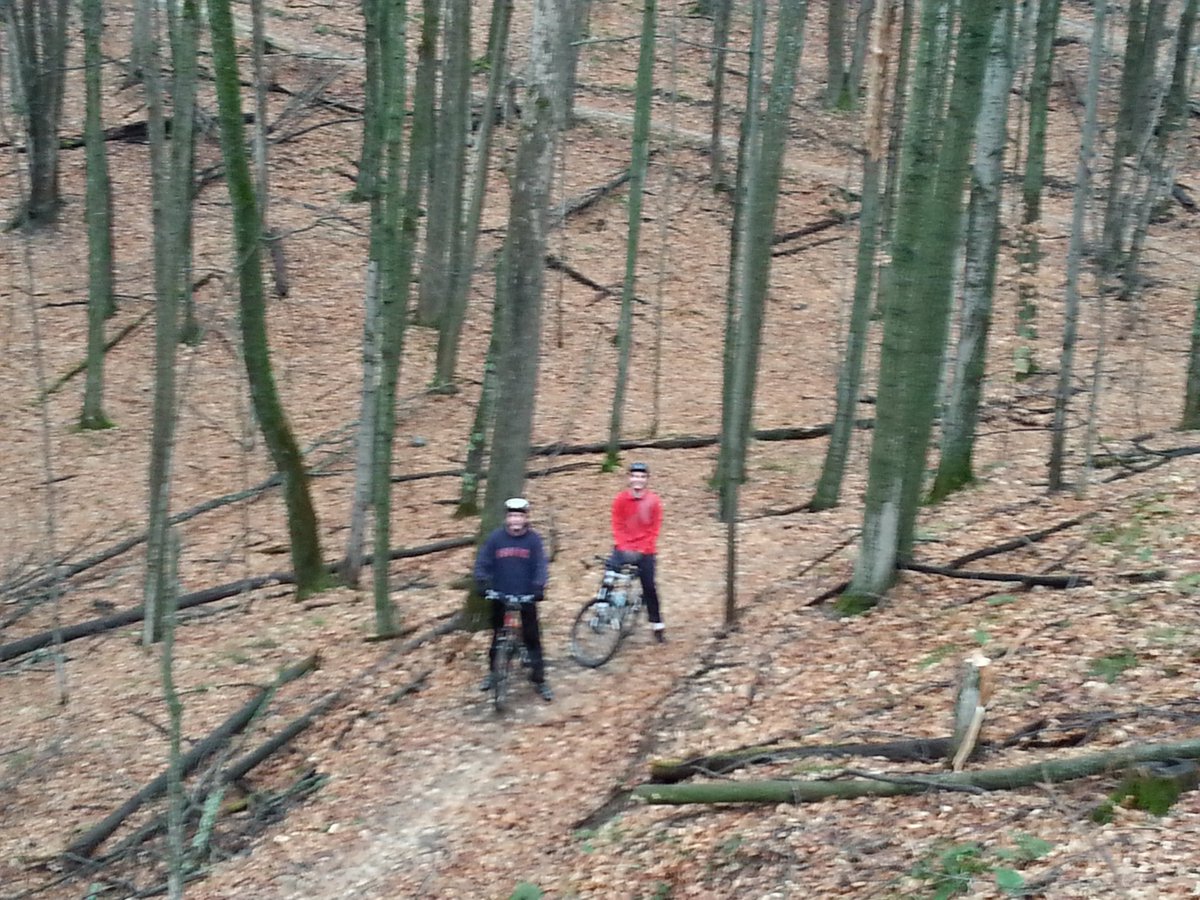 Kathy Drenth tweet media