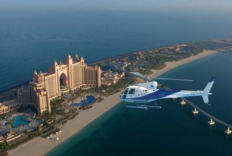 Dubai Joe tweet media