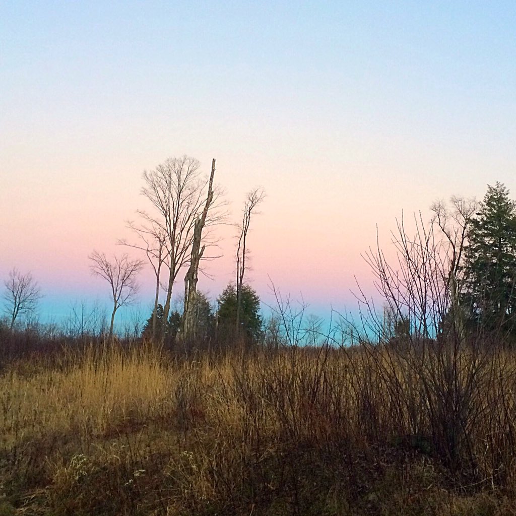 Mazey_27's tweet photo. End of a sweet day of hunting. https://t.co/yf1f1ank5v