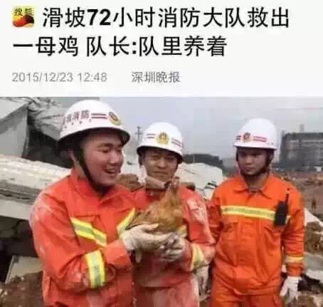 细心网友发现，汶川地震救了个猪，天津爆炸救了个狗，深圳滑坡救了个鸡，那下一次是不是该救个猴呢？这是倒背生肖表的节凑啊同鞋们……[呲牙][OK]