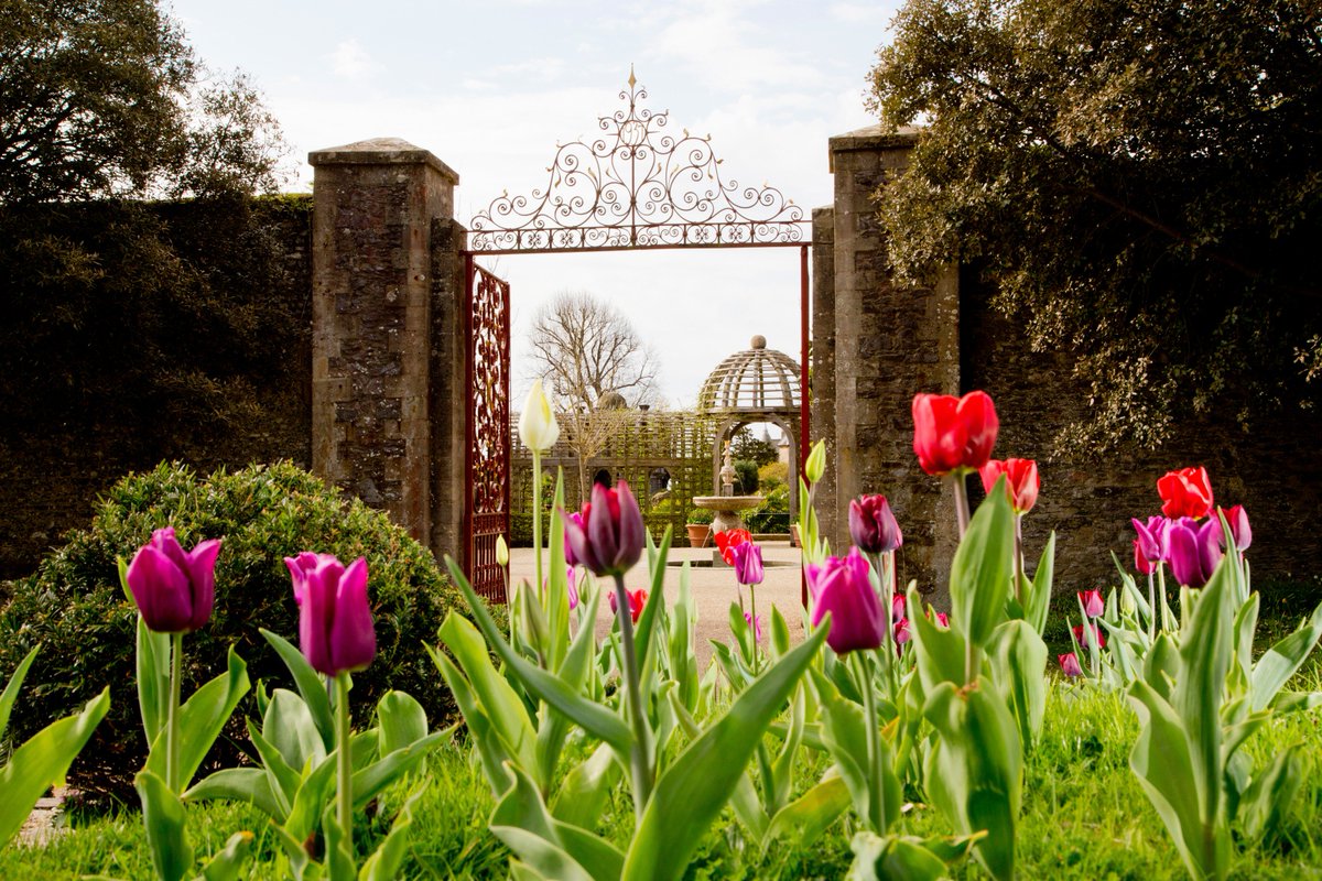 ArundelCastle's tweet photo. For the penultimate day of #ACAdvent, here is a glorious picture from this year's Tulip Festival at Arundel Castle. https://t.co/eIPrA3wdhq