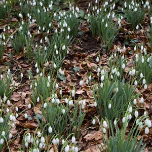 FantasticGarden's tweet photo. How to Garden During The Mildest Winter in Half a Century
https://t.co/bCPKGdjIHR #COP2015 #climatechange https://t.co/qjXpfakhwT
