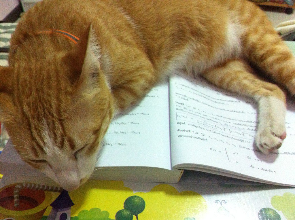 Joonwinkwink's tweet image. ตัวขัดขวาง #MathStat