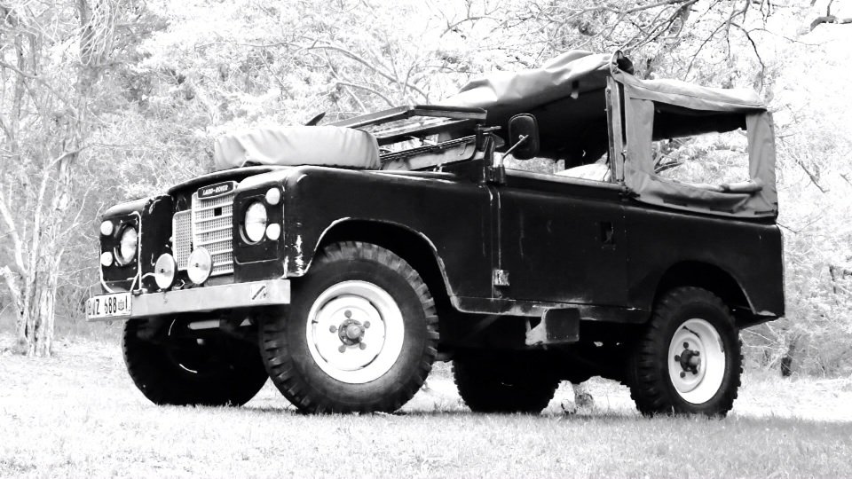 ReMarcable5's tweet image. Landie at Kum Kula, river house. Just after surgery.