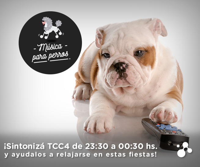 TCCoficial's tweet photo. Sintonizá #TCC4 y descubrí la mejor playlist para relajar a tu mejor amigo en estas fiestas.
#MusicaParaPerros https://t.co/Vyc8ibTLln