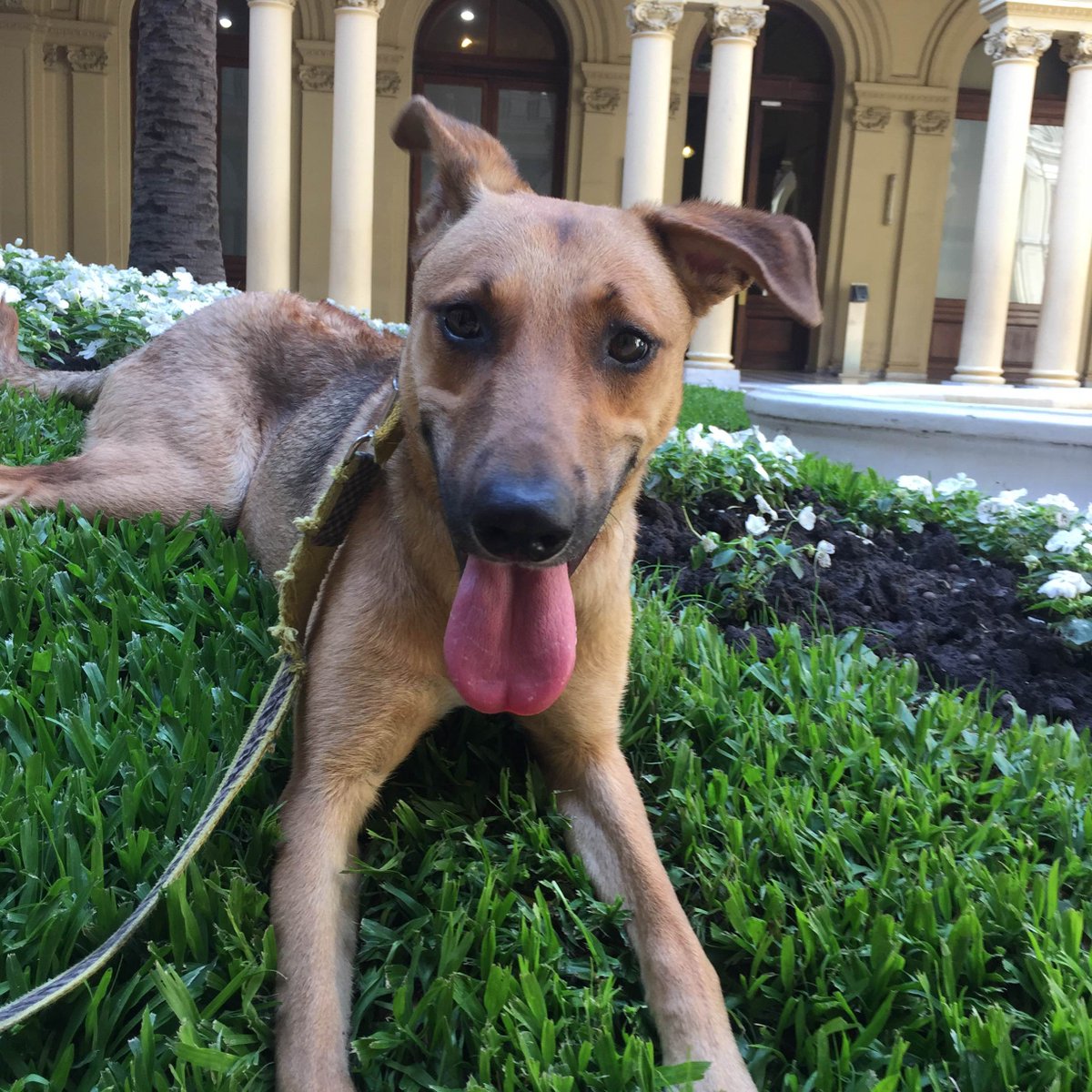 Adivinen dónde estoy ;)