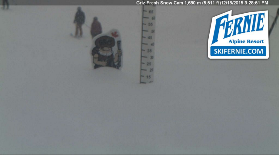 TourismFernie tweet picture
