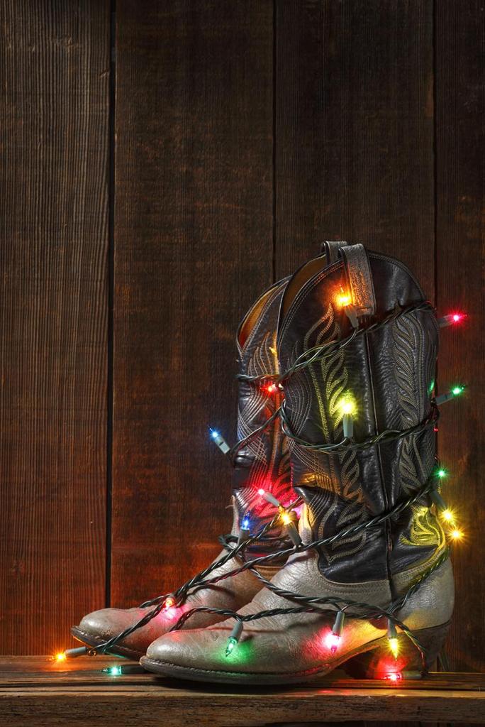 Normal Guy (@gorc1958) on Twitter photo 