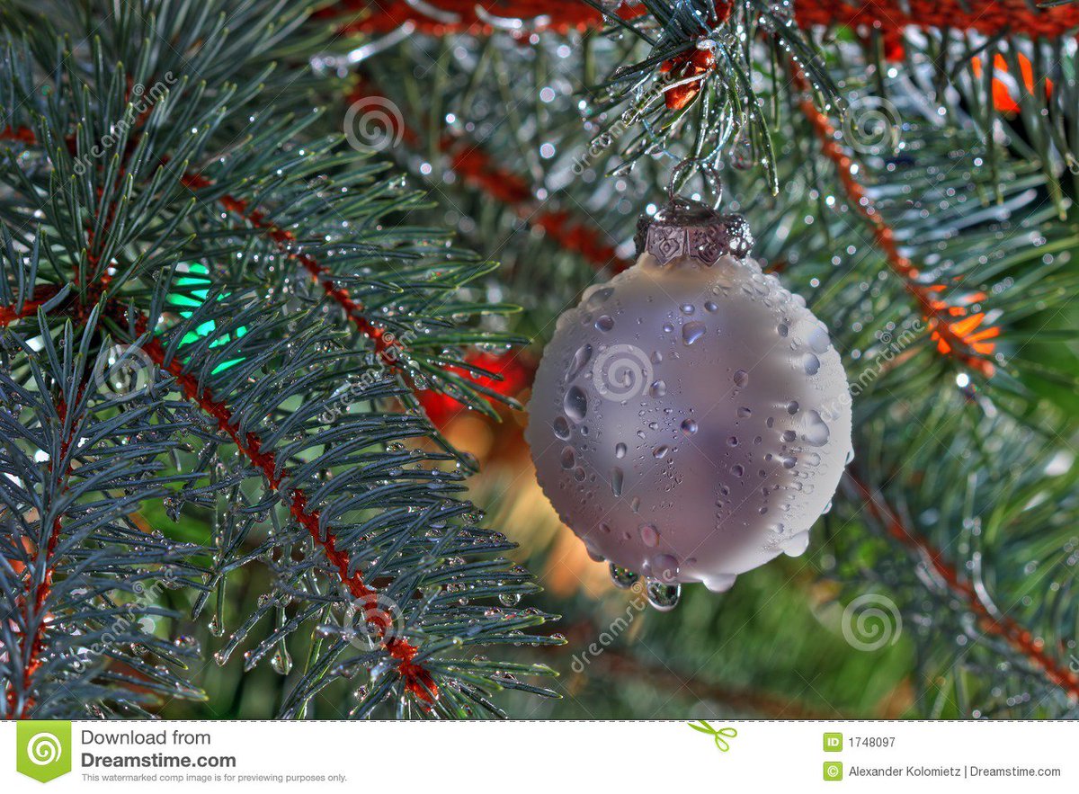 buzzingwithbee's tweet photo. "But, Baby, it's Cold...er...WET!, outside!" Merry almost Christmas Soggy Eve! https://t.co/y1SQN6Zvv3