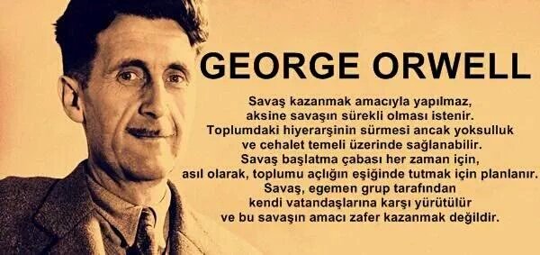 Tüm olay bu
