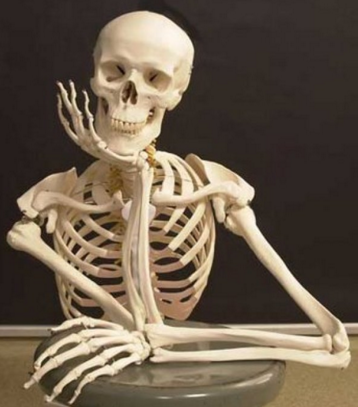 Srta_Pons's tweet photo. #FinalGH16 Yo esperando el ULTIMO secreto de GH16 . . . . . . . . https://t.co/e5WdgNwLMh