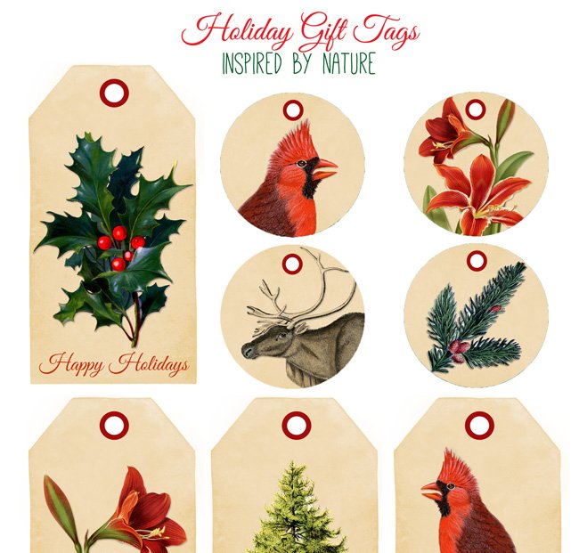 Free Printable Gift Tags -  bit.ly/1ND9JEV - Nature Inspired for the Holidays! #Gifttags #freeprintables