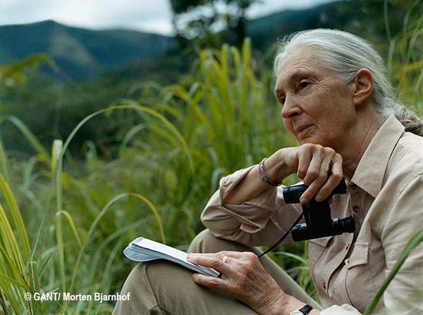 OneGreenPlanet's tweet photo. Reason Jane Goodall Gets Out of Bed Every Morning is Sure to Inspire You to Take Action https://t.co/F7BKV17nFF https://t.co/Q6yyBZtEGJ