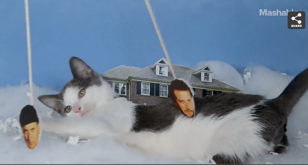meowbox's tweet photo. 4 holiday films remade with #kittens will make your Christmas 😸🎄 https://t.co/88lo3iuU9I @mashable https://t.co/LUE8bPIxTs