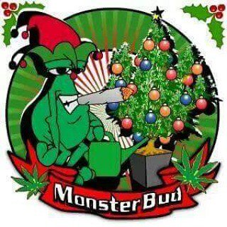CCHI_Hollywood's tweet photo. #merrychristmas from #monsterbud #hollywood and #cchi2016hollywood #cchi #cchi2016 #califo… https://t.co/5VjmjJlabh https://t.co/XzRsPHFu6Y