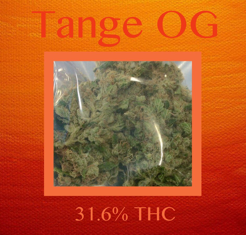 Westside 420 (@420_westside) on Twitter photo 