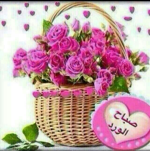 زهرة الارجوان (@zahreas7) on Twitter photo 
