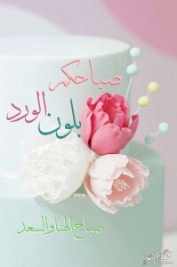 تأتي الصباحات في كل يوم بتفاصيل ترغم قلبك على التبسم 
رغم تعبك ، ألمك و الجروح يبقى كُل صباح متنفس طيب لهذهِ الروح