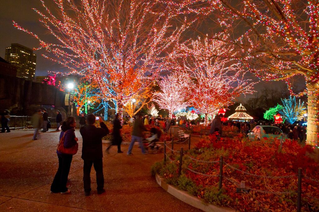 Lincoln Park Zoo On Twitter Zoolights Presented By Comed And Lincoln Park Zoo