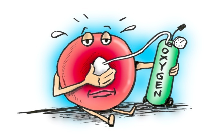 lopezfoundation's tweet photo. Did you know, your kidneys help make red blood cells? #KidneyFacts https://t.co/eN9joQGXKn