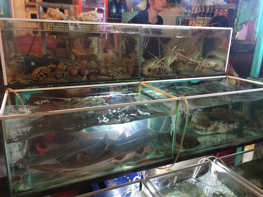 MatthewStorage's tweet image. Seafood heaven #phuquoc Island #vietnam #christmaseveeve