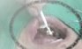 SAFEnSIT's tweet photo. @SAFEnSIT for Dentistry https://t.co/yQHVqMuRVG