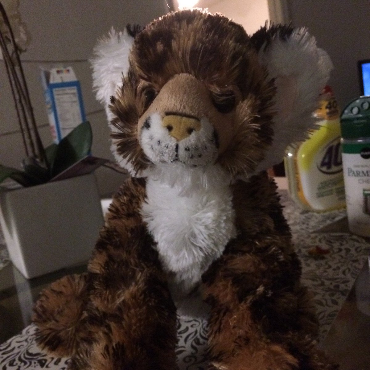 pierce451's tweet image. kiw.im/13tnvhR82KZ