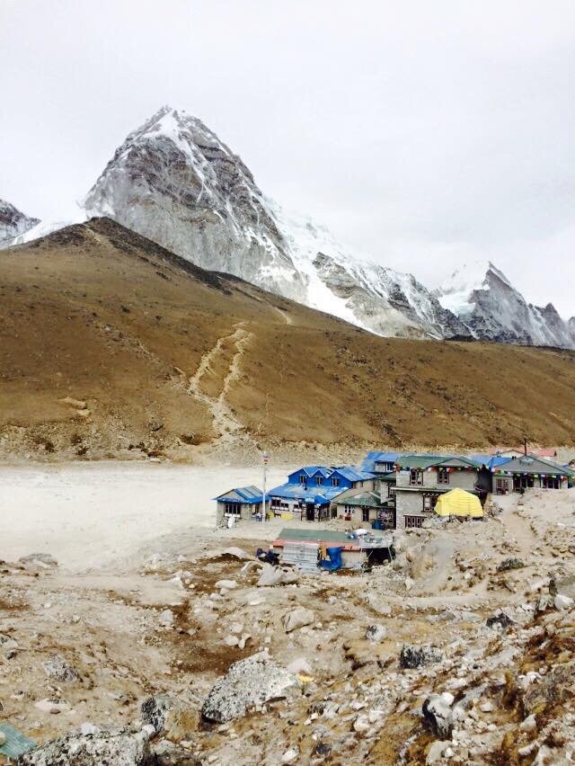 nepalplanettrek's tweet photo. #trekking #hiking #ADVENTURE #travel #tour #nepalguide #Everestbasecamp #gokyotrek https://t.co/XaPmMsQDjC https://t.co/p6AyRGteCh