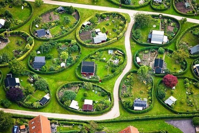 ShootGardening's tweet photo. Oval #allotment #gardens https://t.co/k9oClhubkj