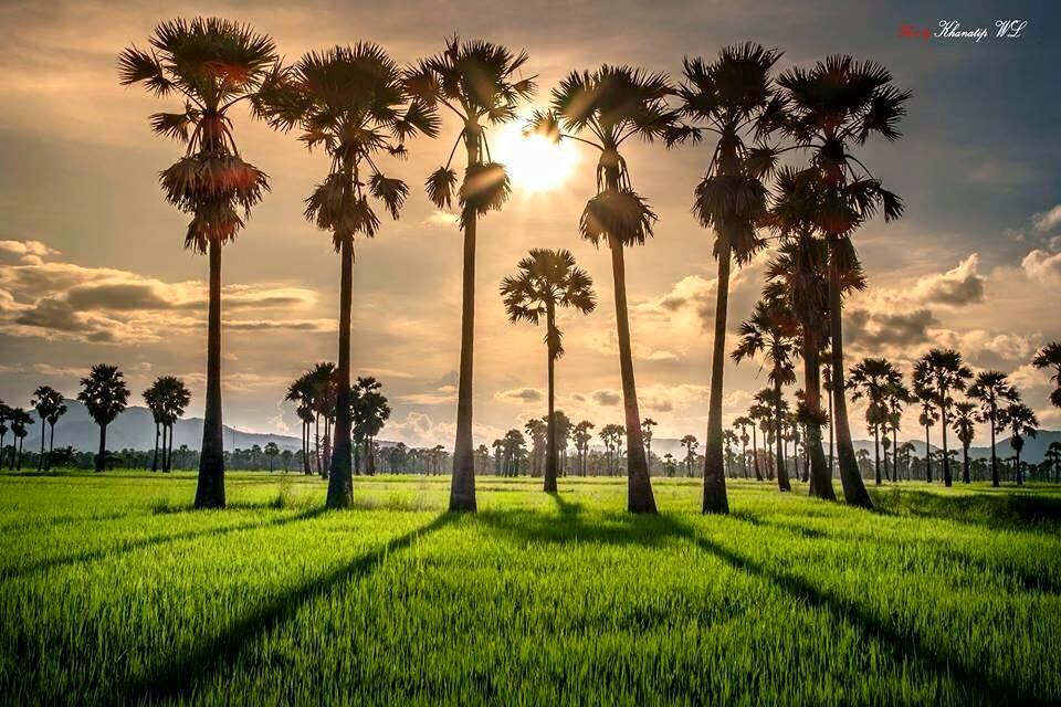 VenerableLin's tweet image. morning