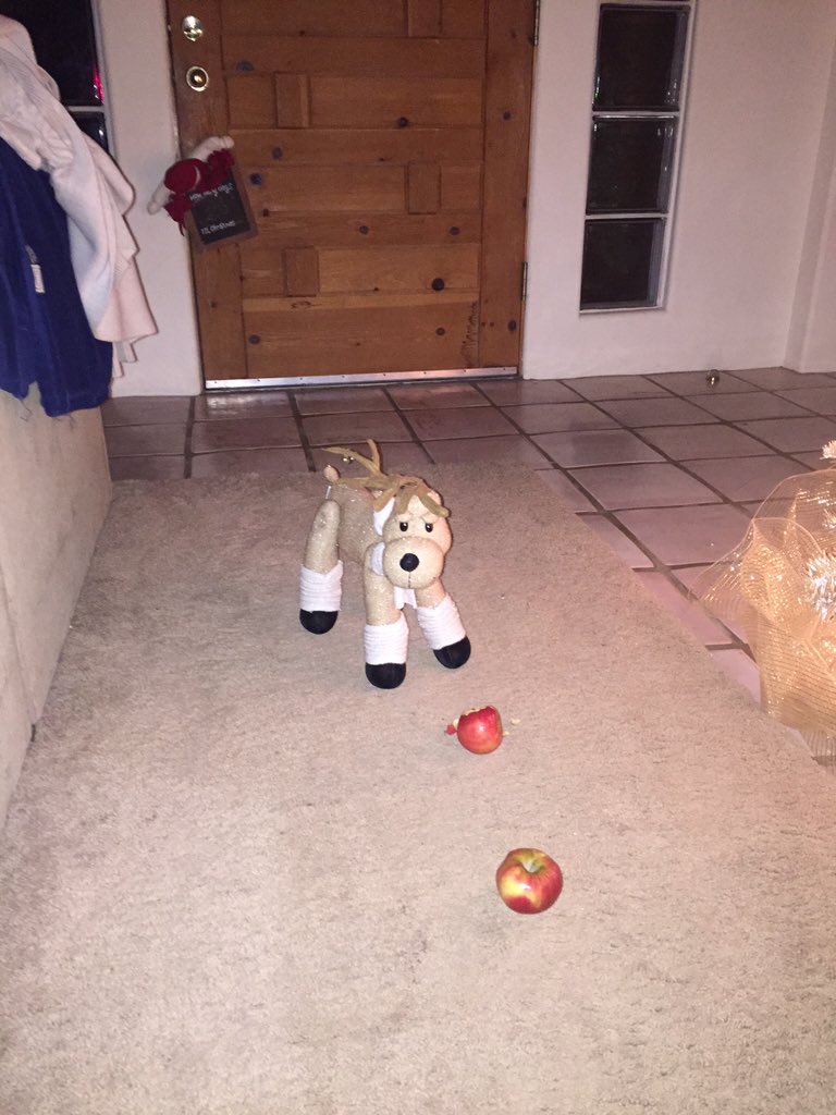 MisterBHolmes's tweet photo. #BuddyTheElf catching deer and taking names! https://t.co/Hc5Fg78Zeo