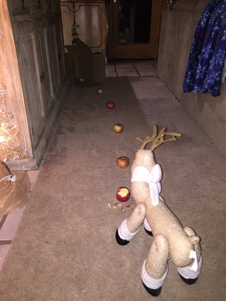 MisterBHolmes's tweet photo. #BuddyTheElf catching deer and taking names! https://t.co/Hc5Fg78Zeo
