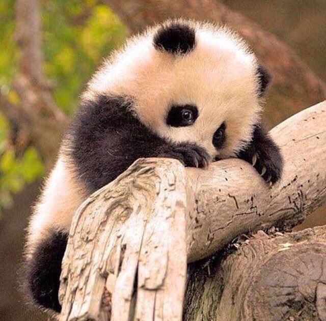 Zeal2_'s tweet photo. Finally ,it's the weekend .... https://t.co/hZprnJoHbS