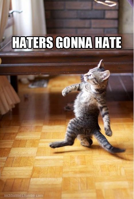 alltognow's tweet photo. "@OnlineHate: #silencetheracists #caturday #cronulla #spreadnohate https://t.co/Jsmo3TXmN9" how a confident multiculturalist walks